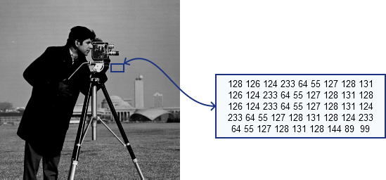 A matrix of the mirror of cameraman